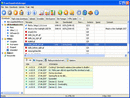 Free Download Manager Screenshot