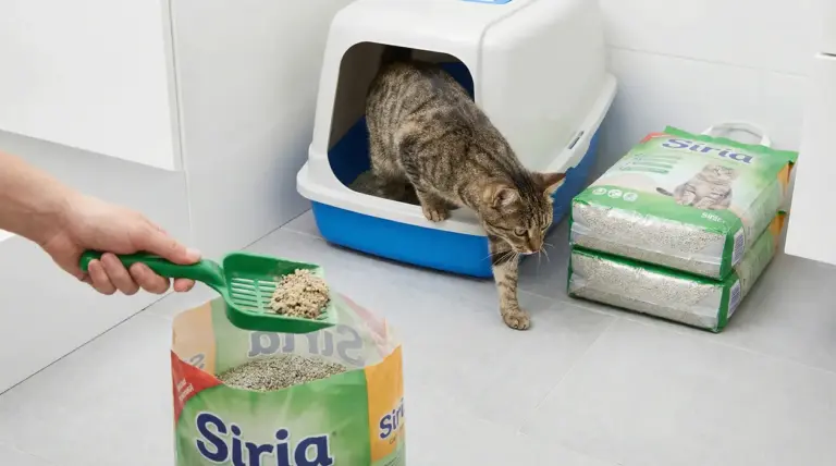 Gatto che esce da una lettiera mentre una mano rimuove sabbia sporca con una paletta