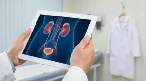 Medico osserva un'immagine digitale del sistema urinario umano su un tablet